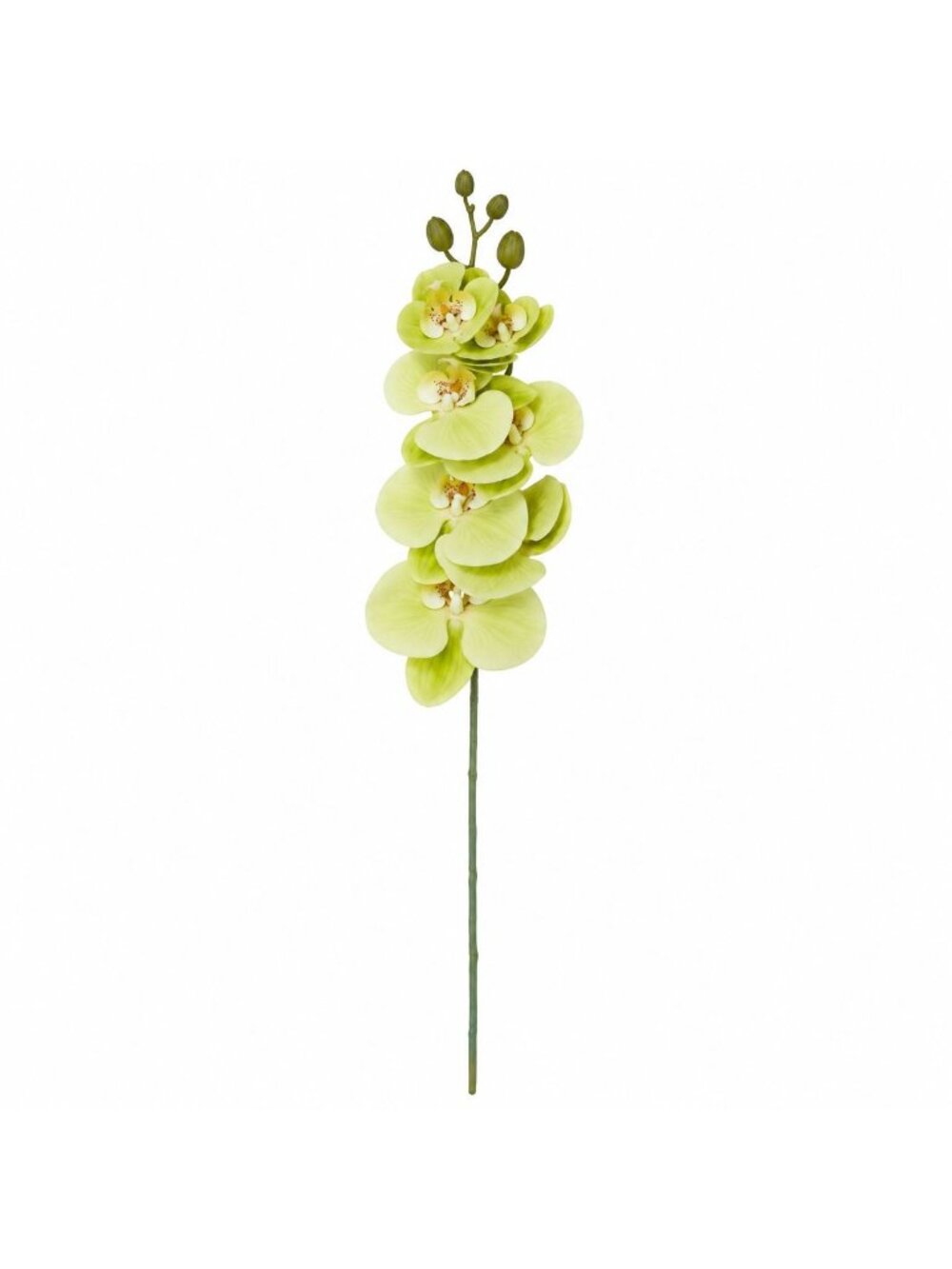 Green Phalaenopsis Orchid Stem, 31 Inch Real Touch Artificial Flower for Tropica